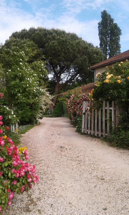 Asinus 32 Bed & Breakfast Viozan ภายนอก รูปภาพ