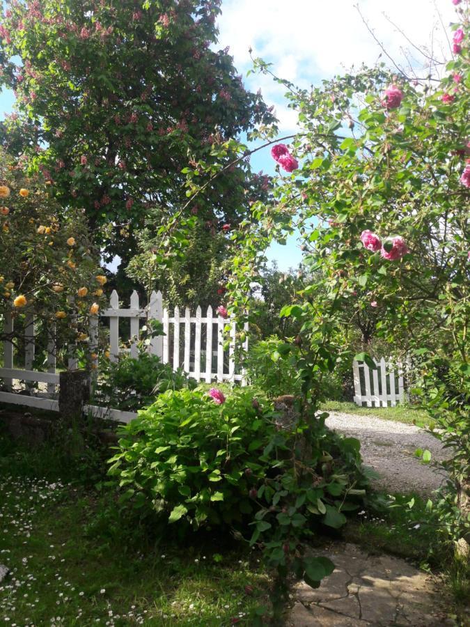 Asinus 32 Bed & Breakfast Viozan ภายนอก รูปภาพ